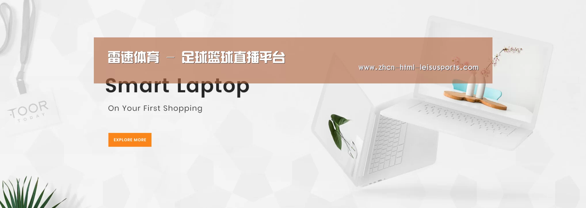 某某网络科技有限公司