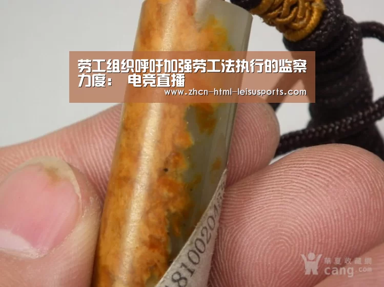  赛事数据