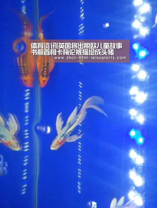  体育资讯