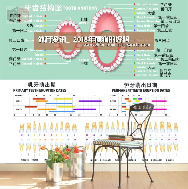  体育比分