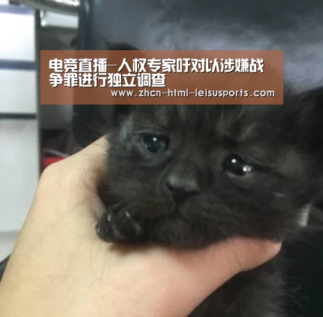 电竞直播-人权专家吁对以涉嫌战争罪进行独立调查(图4) 比分直播