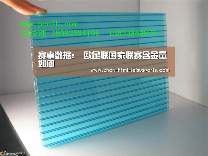 体育比分