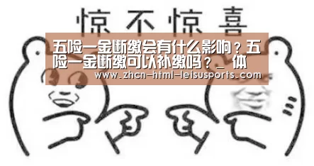 五险一金断缴会有什么影响?五险一金断缴可以补缴吗?_ 体育比分(图2) 实时赔率