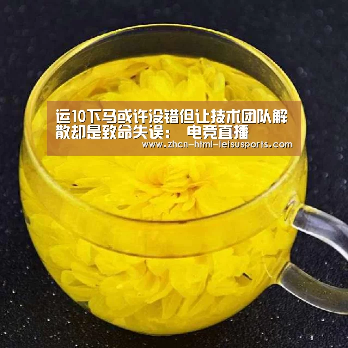 运10下马或许没错但让技术团队解散却是致命失误: 电竞直播(图1) 雷速网