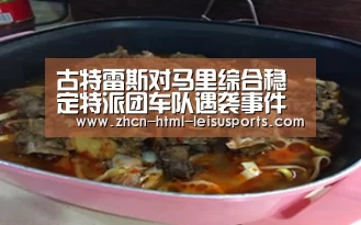 古特雷斯对马里综合稳定特派团车队遇袭事件表示谴责| 赛事数据(图1) 比分直播